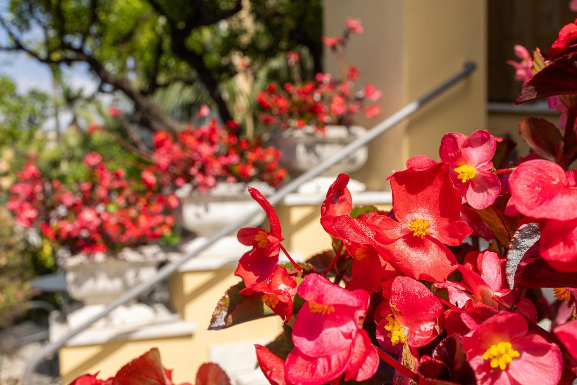 Hotel Villa Elisa & Spa Bordighera Kültér fotó