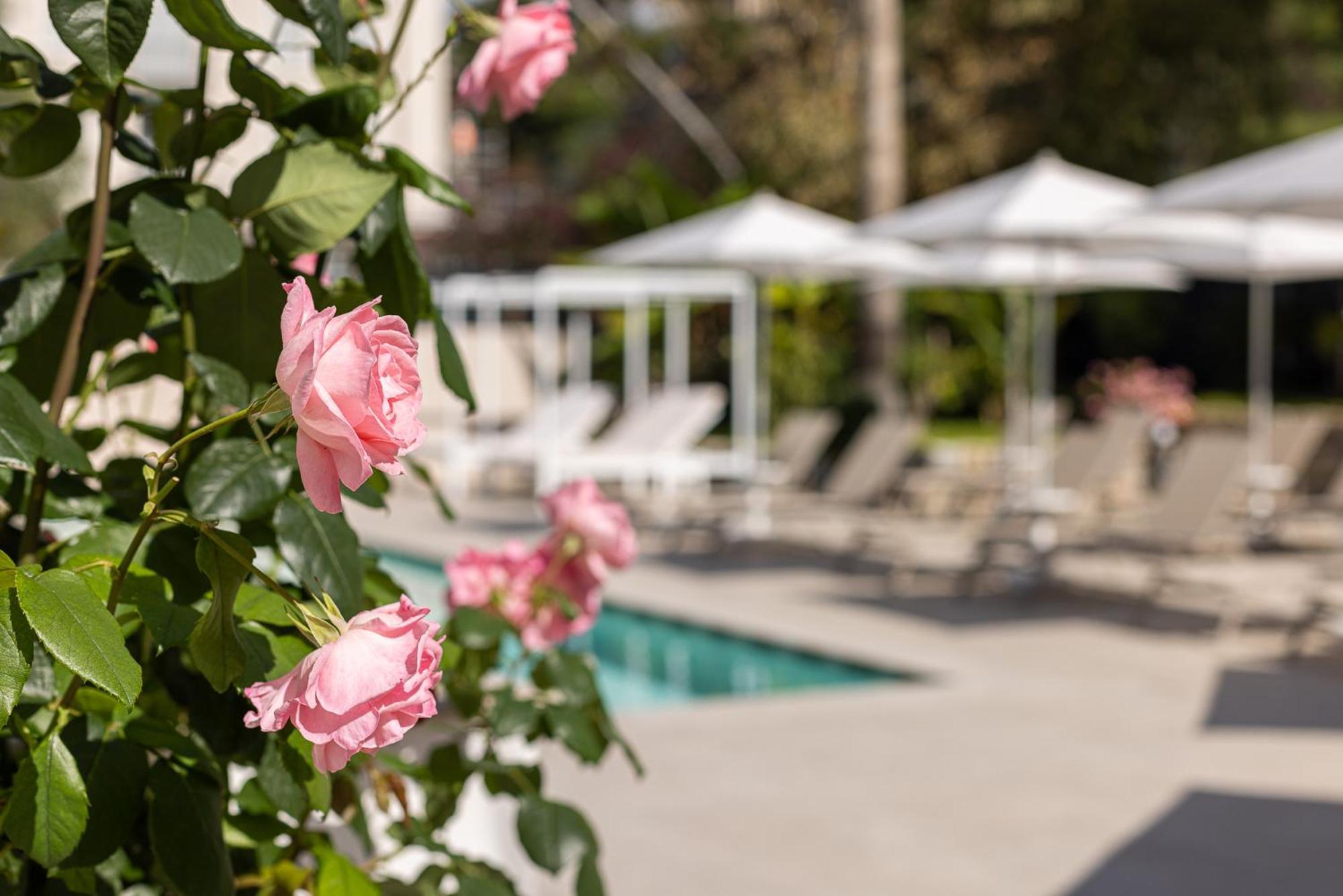 Hotel Villa Elisa & Spa Bordighera Kültér fotó