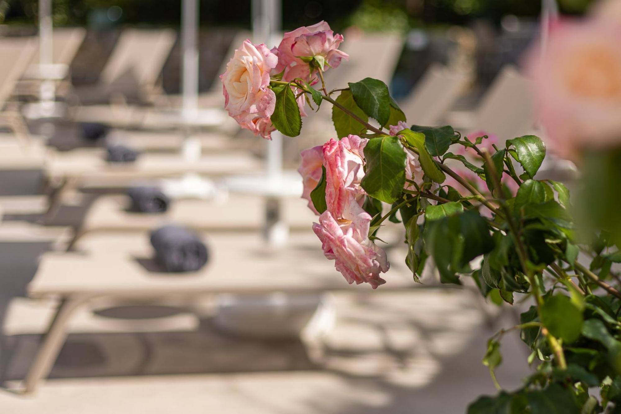 Hotel Villa Elisa & Spa Bordighera Kültér fotó