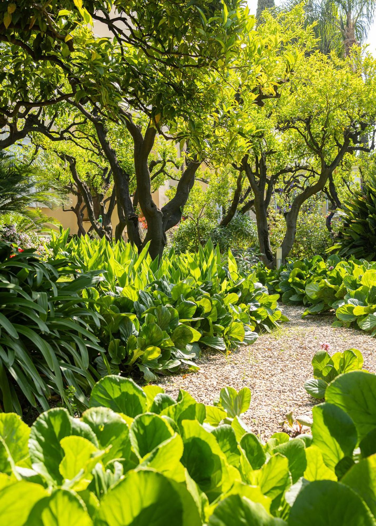 Hotel Villa Elisa & Spa Bordighera Kültér fotó